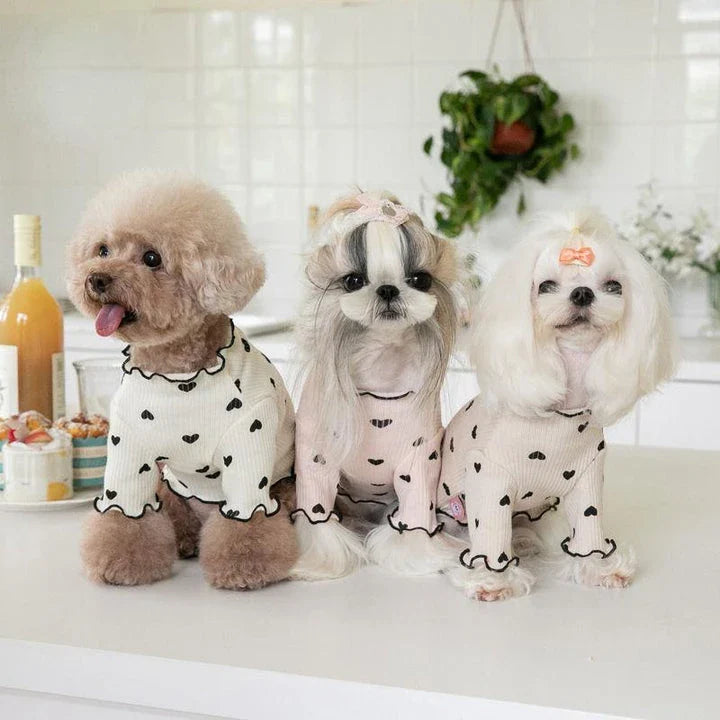 A cosy and stylish embroidered bear waffle vest for pets, perfect for keeping your furry friend warm and cute during the colder months.
