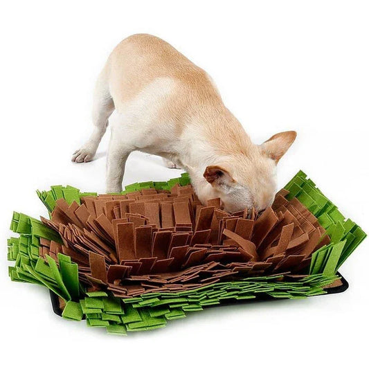 A premium dog sniffing mat made with durable fibres to stimulate your pup's natural foraging instincts and provide mental enrichment.