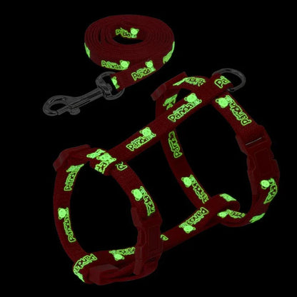 Luminous cat harness and leash set with glow-in-the-dark design for nighttime walks