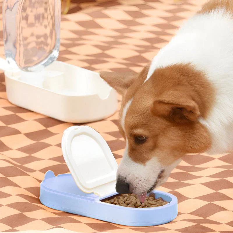 Stylish ice cream cup shaped pet feeder and water bowl for small and medium-sized pets