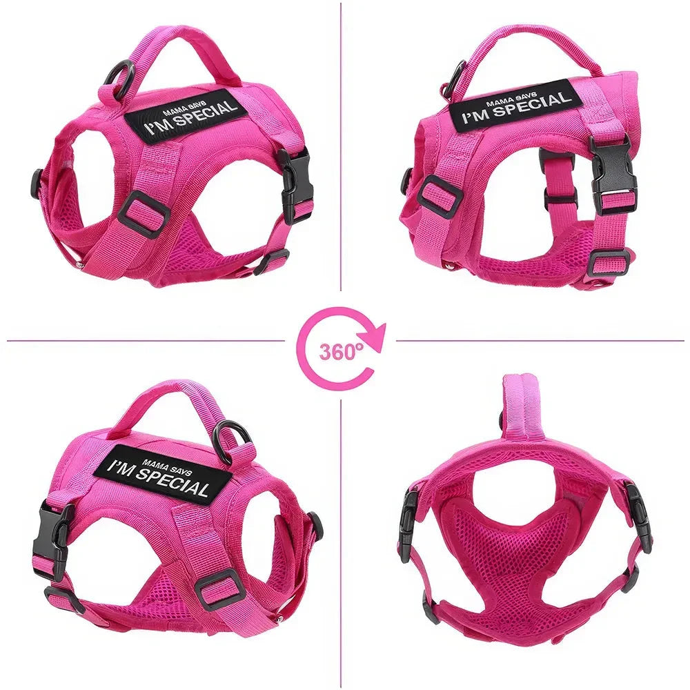 Premium nylon cat harness vest with padded design, water-resistant material, and secure handle for outdoor adventures with pets in the UK