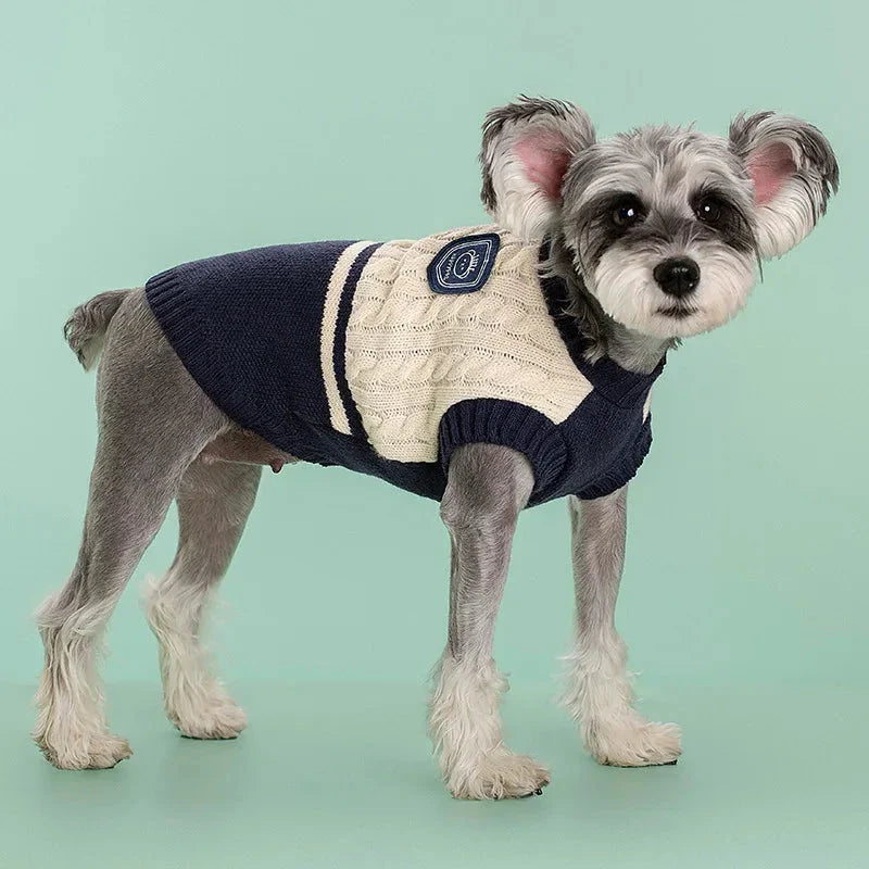 College-style pet dog sweater in green, red, and blue colours, designed for small and medium-sized dogs
