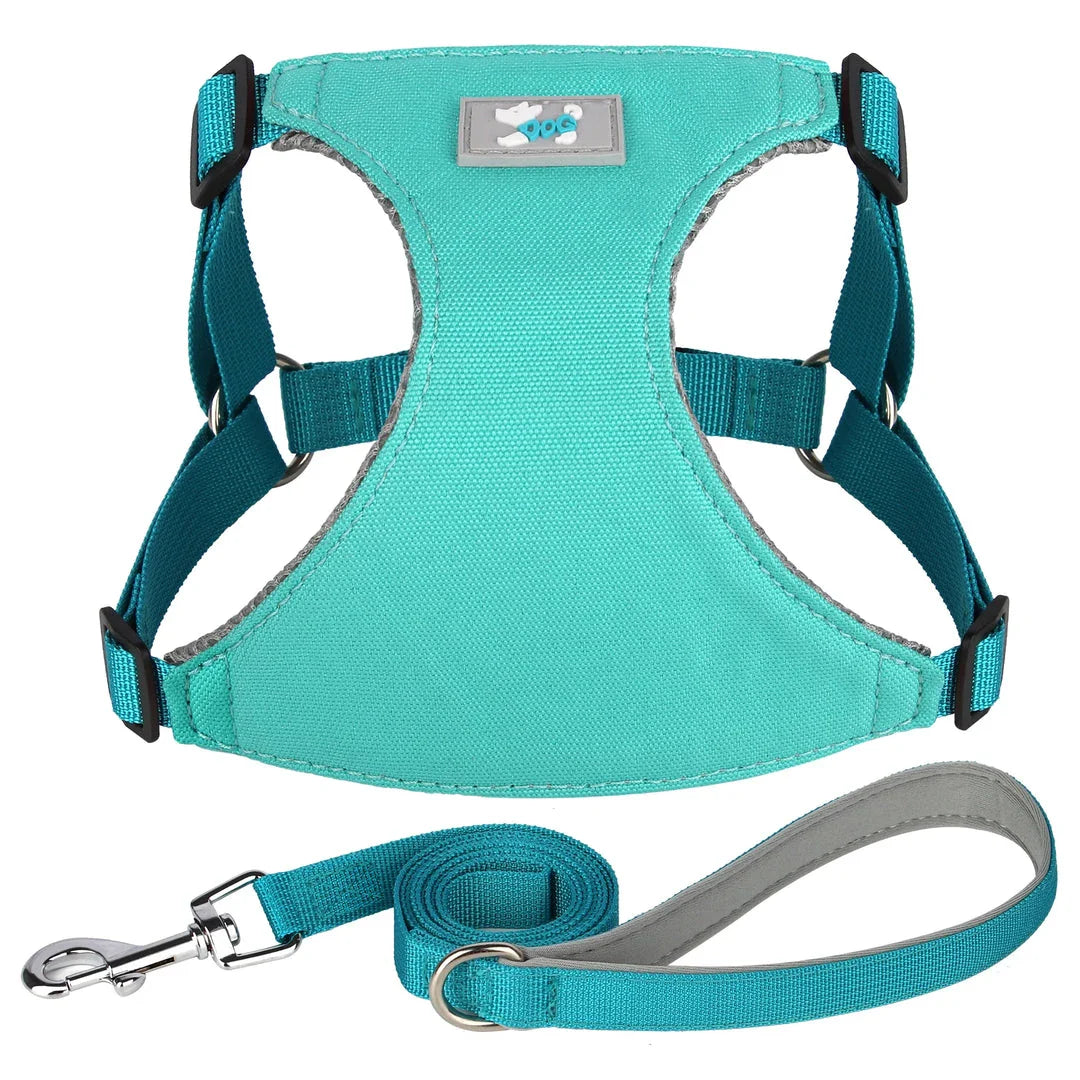 Premium Adjustable Nylon Dog Harness and Leash Set in vibrant yellow colour, designed for comfort and style during walks and outdoor adventures.
