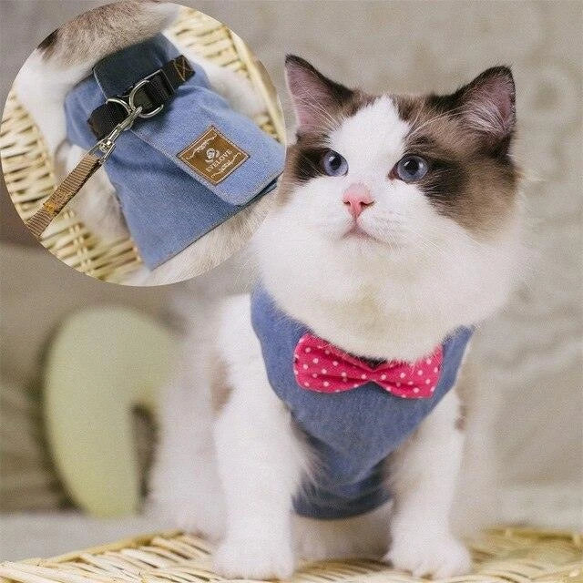 Premium cat harness with adjustable straps and leash for outdoor adventures, featuring a sophisticated gentleman's style design.