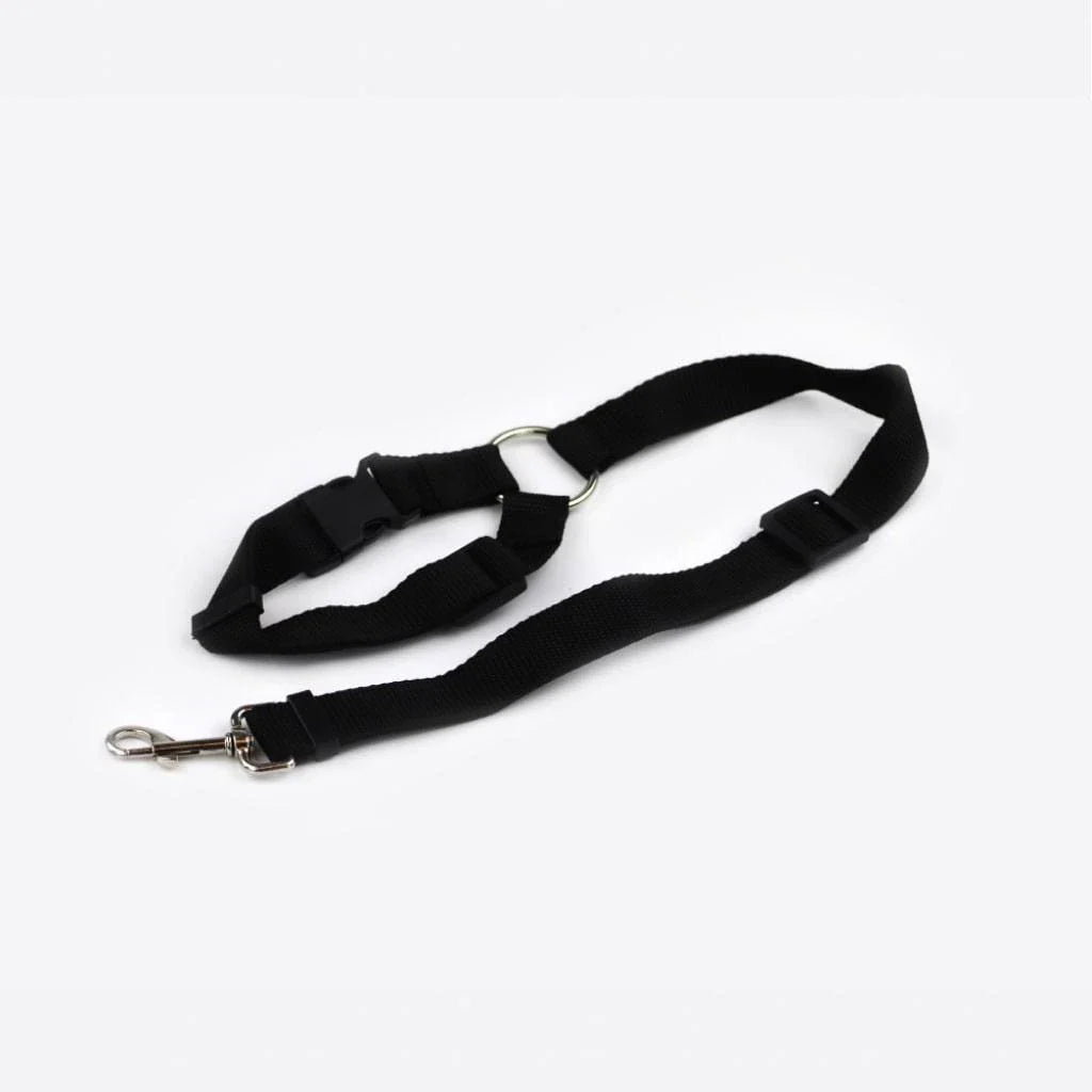 Adjustable dog car seatbelt with headrest loop and extendable leash for secure pet travel