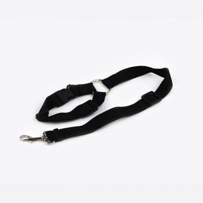 Adjustable dog car seatbelt with headrest loop and extendable leash for secure pet travel