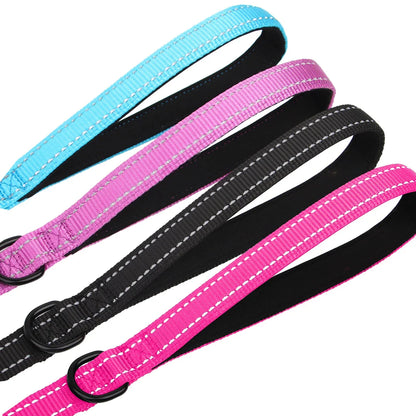 Premium 5ft Dual-Handle Reflective Nylon Dog Leash with durable nylon construction, padded handles, and reflective stitching for enhanced visibility