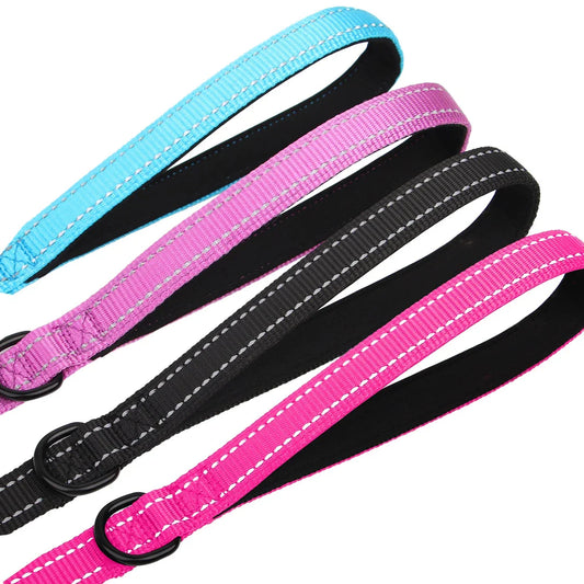 Premium 5ft Dual-Handle Reflective Nylon Dog Leash with durable nylon construction, padded handles, and reflective stitching for enhanced visibility