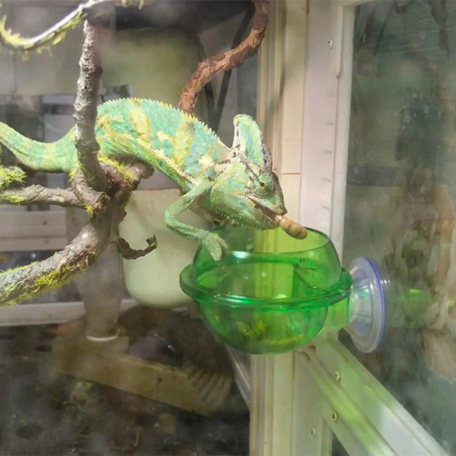 Premium Chameleon Lizard Suction Cup Feeder Set with soft, flexible suction cups for secure glass adhesion and durable construction