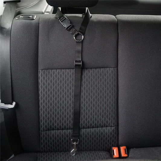 Adjustable dog car seatbelt with headrest loop and extendable leash for secure pet travel