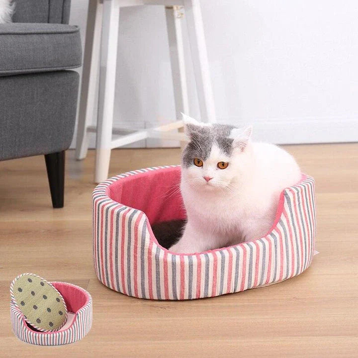 Cosy breathable cat bed with vibrant striped pattern, offering premium comfort and airflow for your feline friend