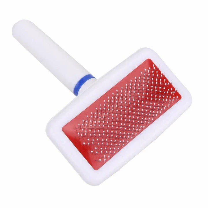 Premium pet grooming brush with stainless steel bristles, designed for gentle yet effective grooming of cats and dogs