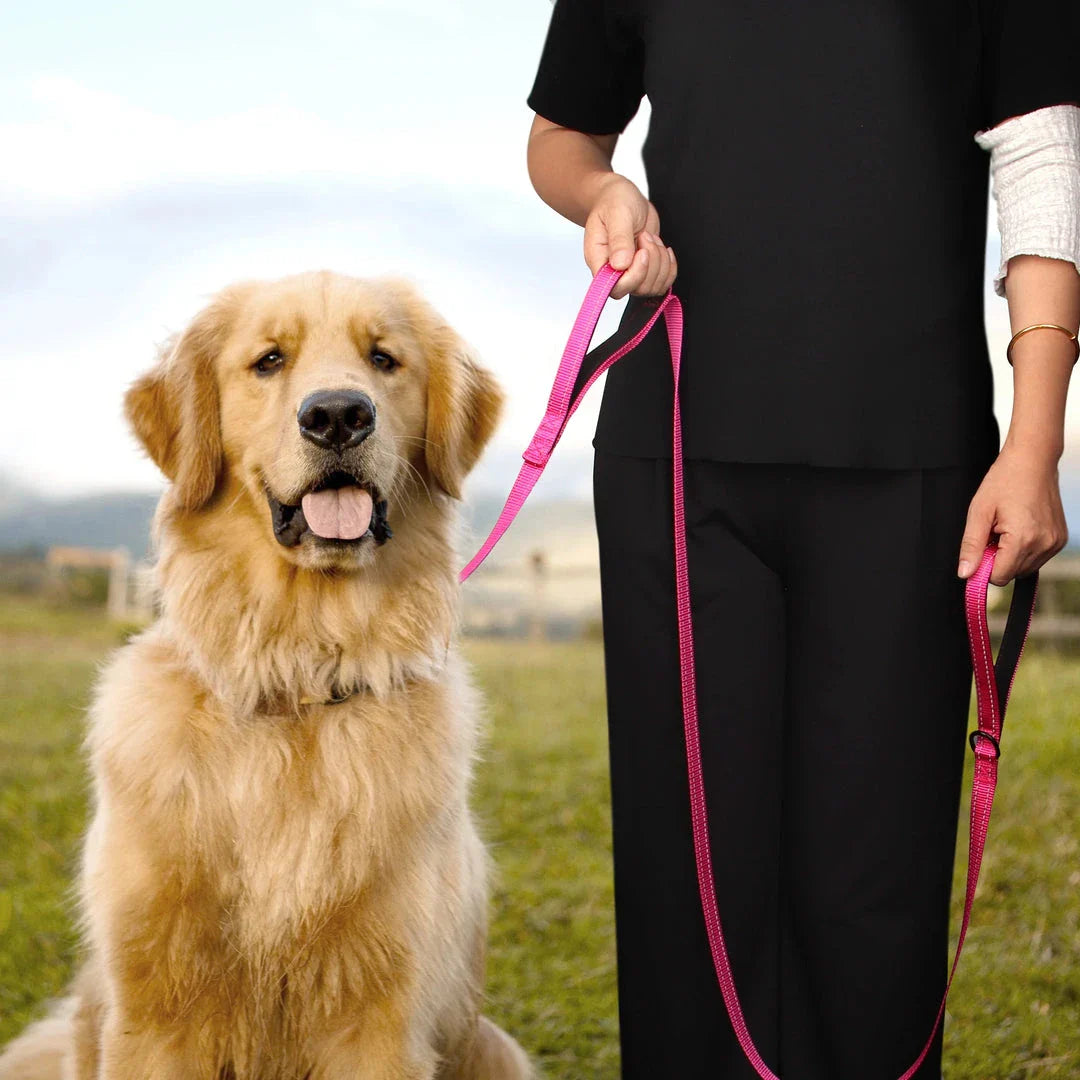 Premium 5ft Dual-Handle Reflective Nylon Dog Leash with durable nylon construction, padded handles, and reflective stitching for enhanced visibility