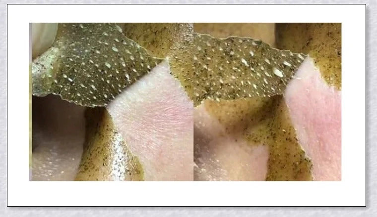 Nourishing Green Tea Peel-Off Mask with botanical extracts for a radiant, healthy-looking complexion