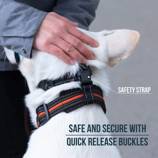 Reflective nylon dog muzzle and leash set in orange colour, designed for safe and controlled walks with your canine companion