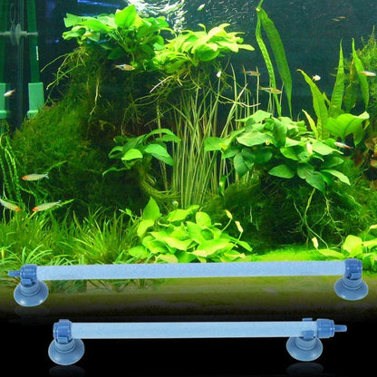 Premium aquarium oxygen diffusers in various sizes for optimal aeration and healthy aquatic environments
