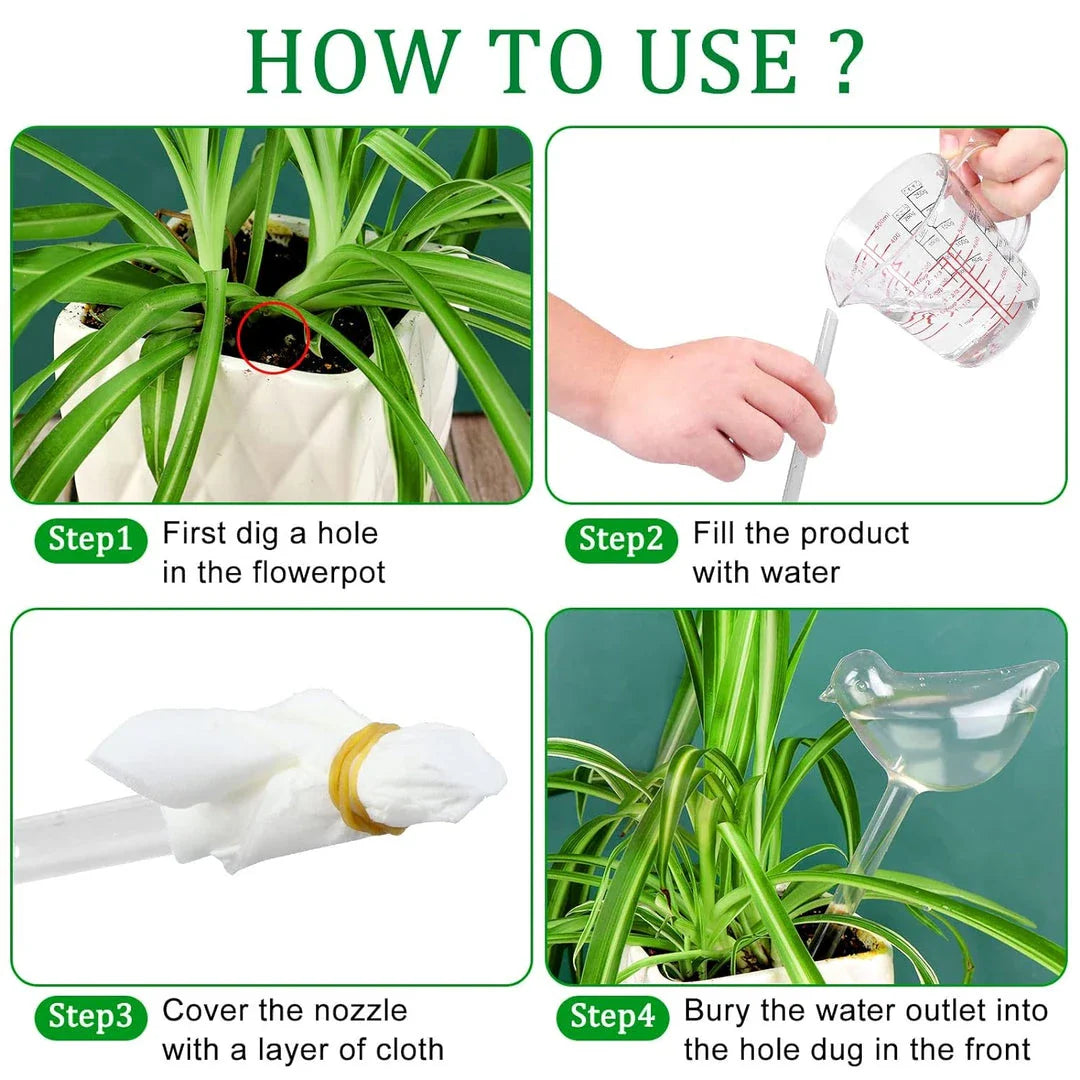 Automatic Self-Watering Globe in the shape of a bird, made of clear plastic for growing and displaying plants indoors or outdoors.
