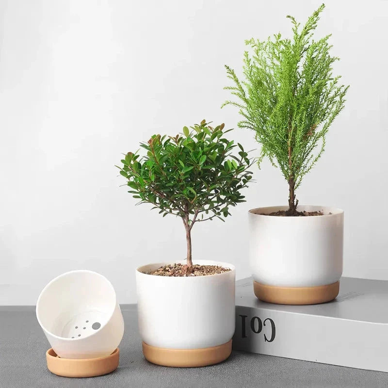 Double-Layer Self-Watering Succulent Plant Pot in White, Suitable for Indoor and Outdoor Decor
