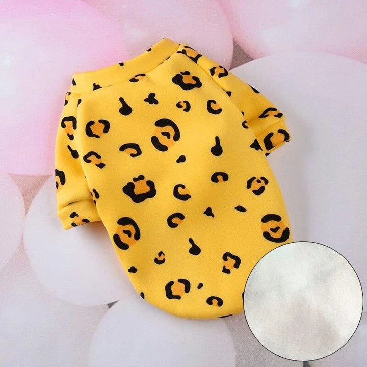 Cat wearing a colourful, printed sweatshirt in a vibrant yellow-bear design