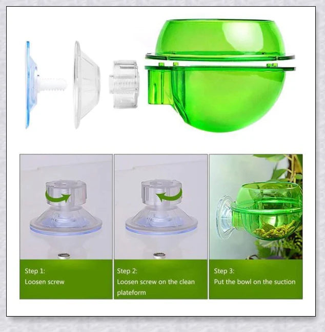 Premium Chameleon Lizard Suction Cup Feeder Set with soft, flexible suction cups for secure glass adhesion and durable construction