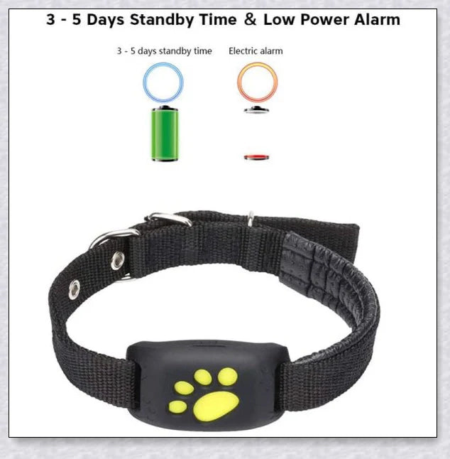Premium GPS Cat Collar with real-time location tracking, waterproof design, and 'Geofence' safety features to safeguard your cat
