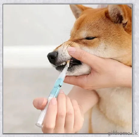 Dog Teeth Plaque Removing Pens - Premium dental cleaning system for dogs with dual-pen design and all-natural ingredients
