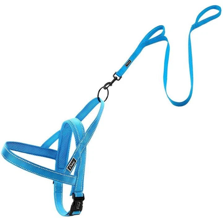 Durable nylon dog harness and leash set in various sizes for comfortable and secure walks with your canine companion