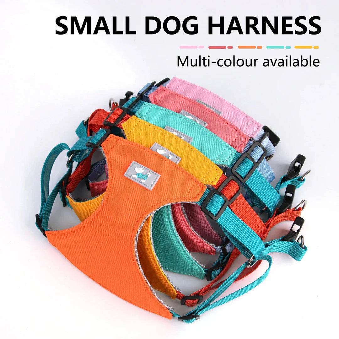 Premium Adjustable Nylon Dog Harness and Leash Set in vibrant yellow colour, designed for comfort and style during walks and outdoor adventures.
