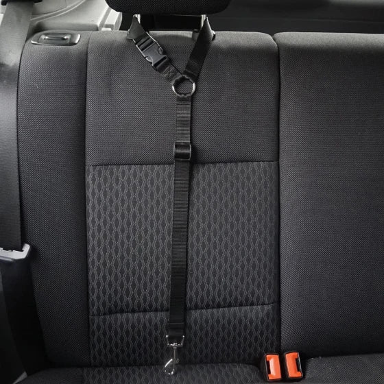 Adjustable dog car seatbelt with headrest loop and extendable leash for secure pet travel