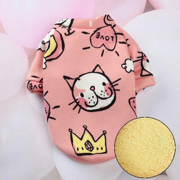 Cat wearing a colourful, printed sweatshirt in a vibrant yellow-bear design
