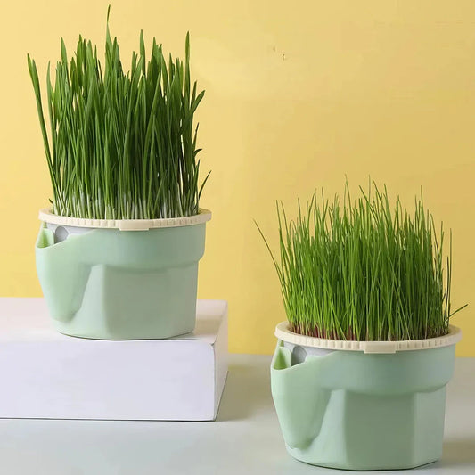 Premium Cat Grass Cultivation Cup with Hierarchical Design for Healthy Feline Wellbeing