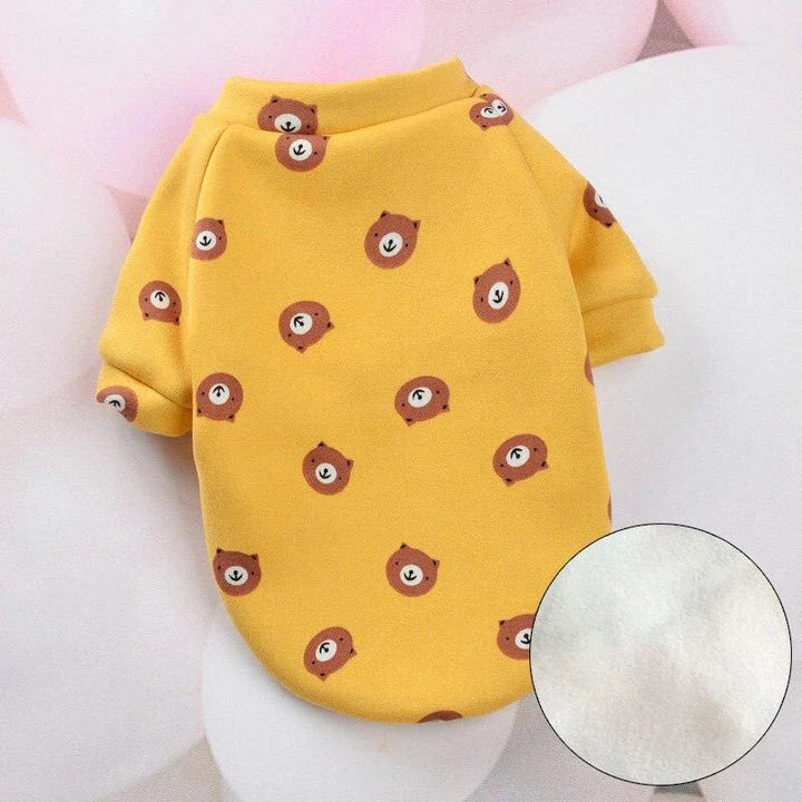 Cat wearing a colourful, printed sweatshirt in a vibrant yellow-bear design
