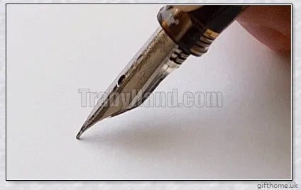 A premium fountain pen with a flexible calligraphy nib, allowing for expressive strokes and elegant writing