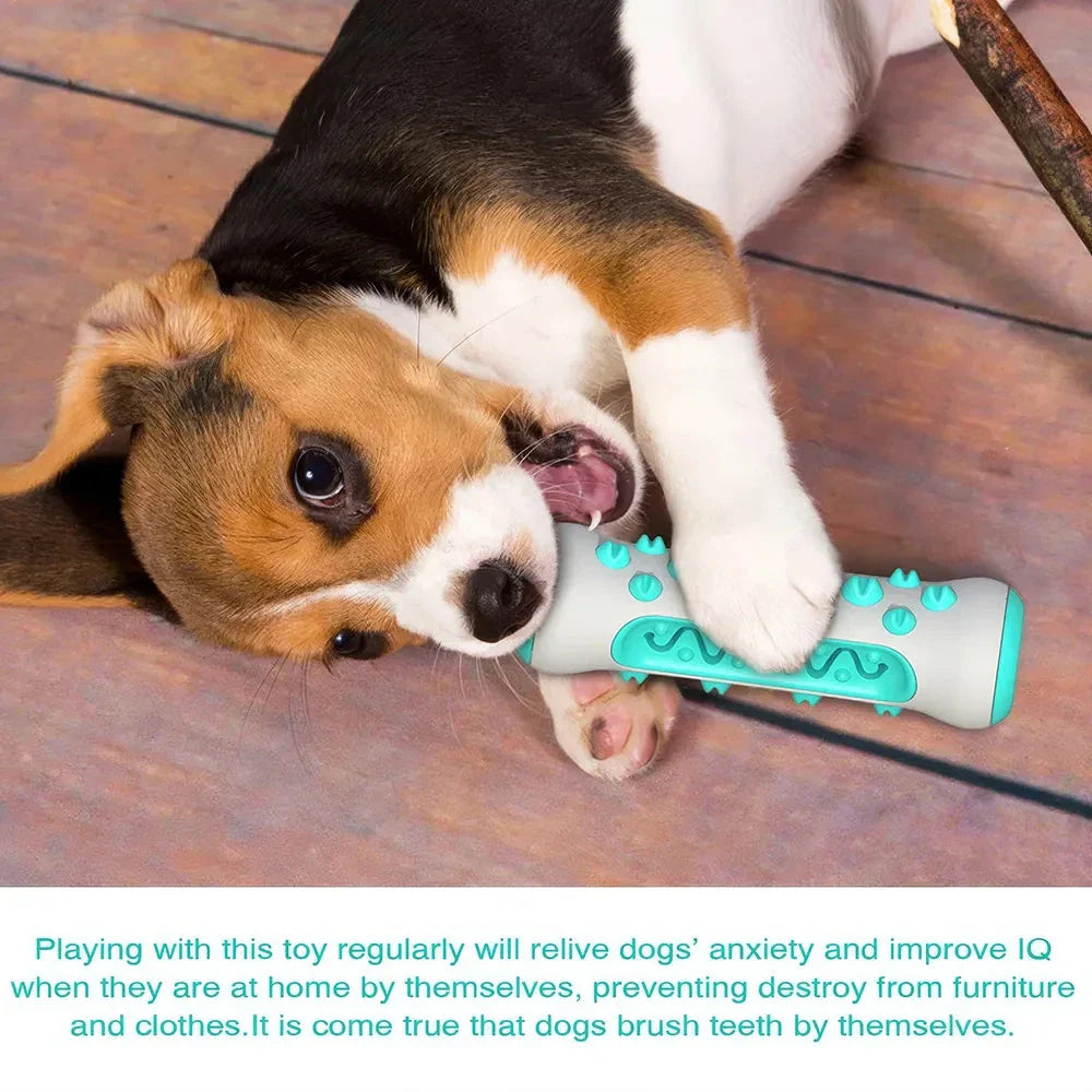 Premium dog dental chew stick toy with bristles for effective teeth cleaning and interactive play