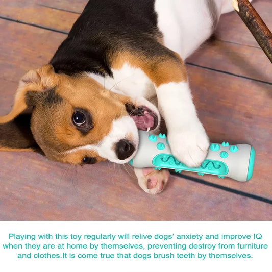 Premium dog dental chew stick toy with bristles for effective teeth cleaning and interactive play