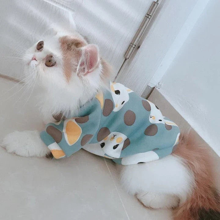 Cat wearing a colourful, printed sweatshirt in a vibrant yellow-bear design