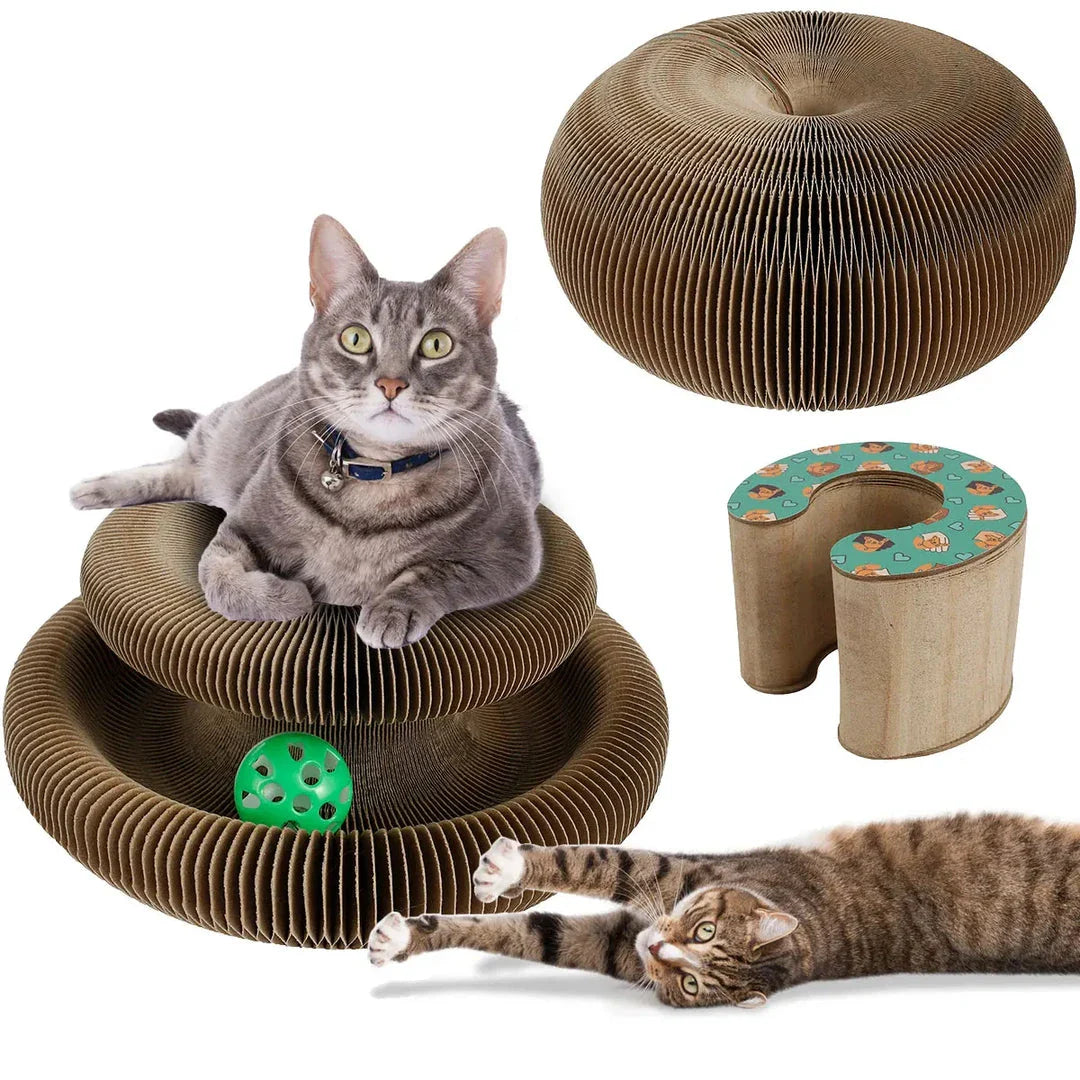 Foldable cat scratcher with toy ball, made of durable corrugated cardboard in versatile bone and crib shapes for active play and relaxation