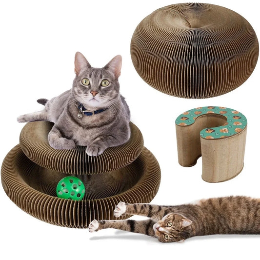 Foldable cat scratcher with toy ball, made of durable corrugated cardboard in versatile bone and crib shapes for active play and relaxation