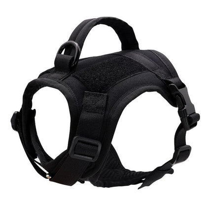 Premium nylon cat harness vest with padded design, water-resistant material, and secure handle for outdoor adventures with pets in the UK