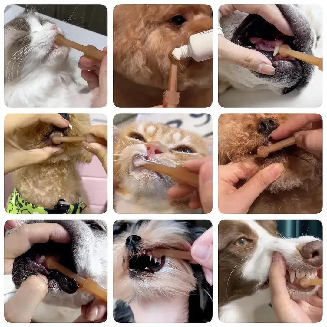 Premium pet dental care kit with dual-sided toothbrush and silicone handle for dogs and cats