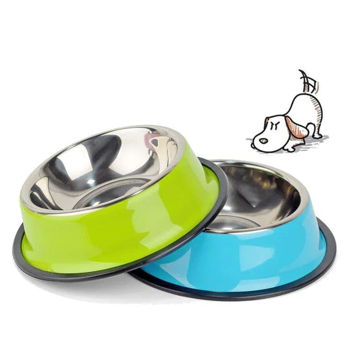 Premium stainless steel pet feeding bowl in sleek, contemporary design for dogs and cats