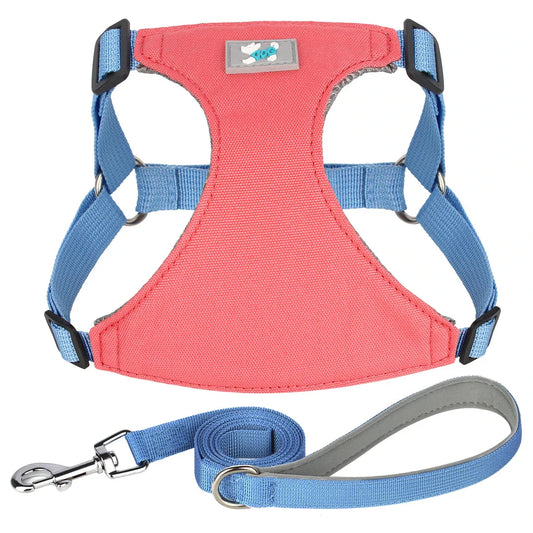 Premium Adjustable Nylon Dog Harness and Leash Set in vibrant yellow colour, designed for comfort and style during walks and outdoor adventures.