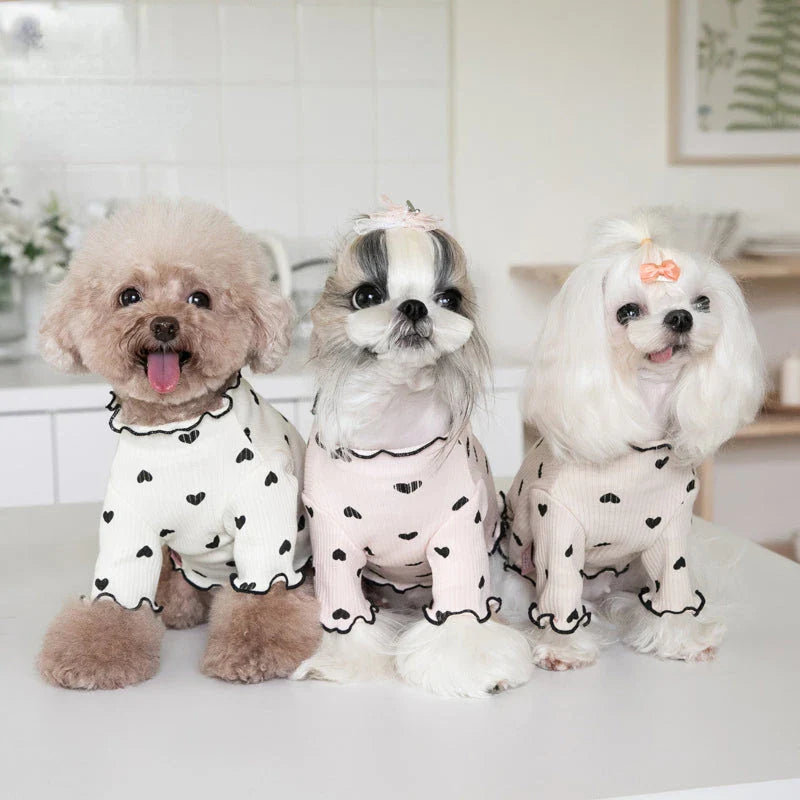 A cosy and stylish embroidered bear waffle vest for pets, perfect for keeping your furry friend warm and cute during the colder months.