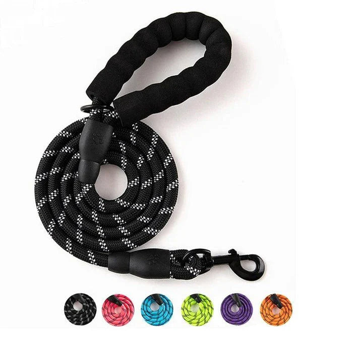 Colourful and durable nylon dog lead in various bright colours, suitable for all dog breeds