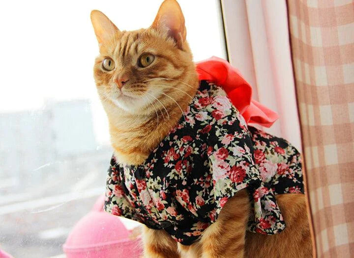 Floral print pet costumes in various sizes for cats and dogs, perfect for spring and autumn celebrations in the UK