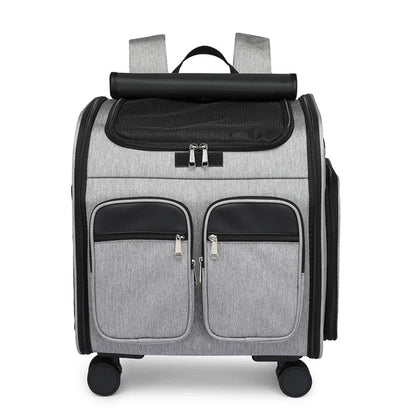 Convenient pet carrier trolley in blue colour, designed with a folding mechanism for easy transport and storage
