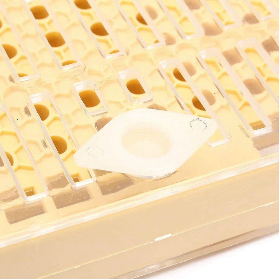 A comprehensive 155-piece queen rearing kit with transparent, brown, and beige components for cultivating and catching top-quality queen bees