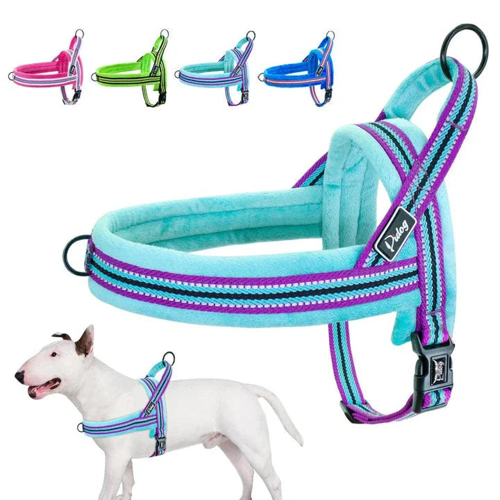 Adjustable reflective dog harness with padded interior for comfort and safety
