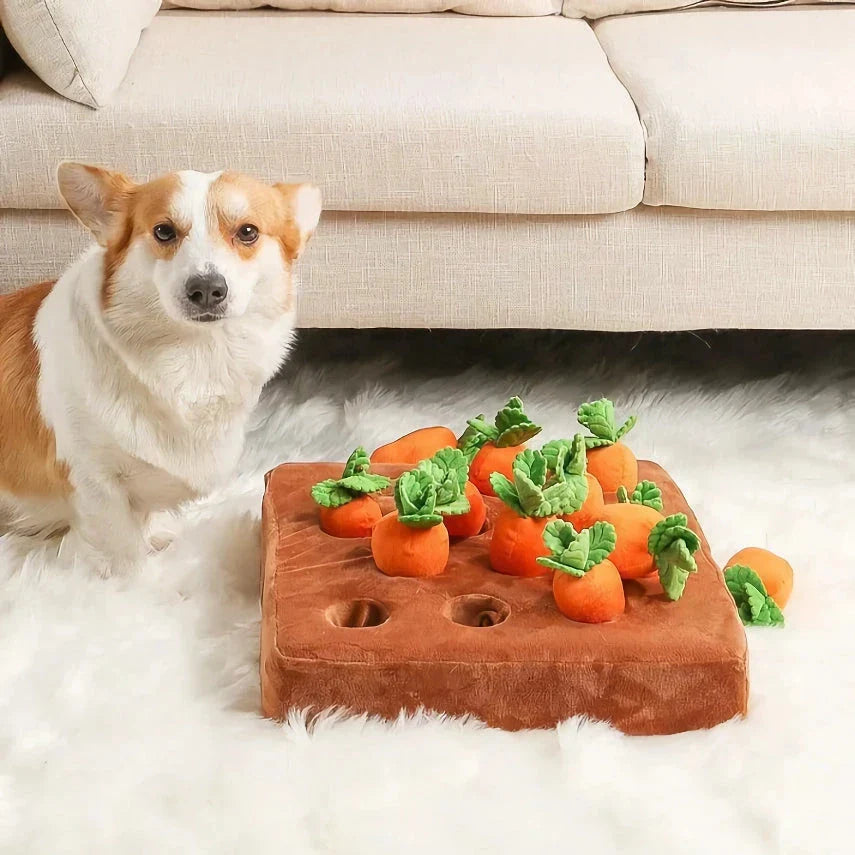 Premium soft plush carrot-shaped dog toy with non-slip backing for engaging, interactive playtime