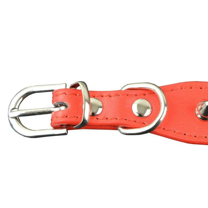 Premium quality PU leather pet collar in various colours and sizes for stylish dogs